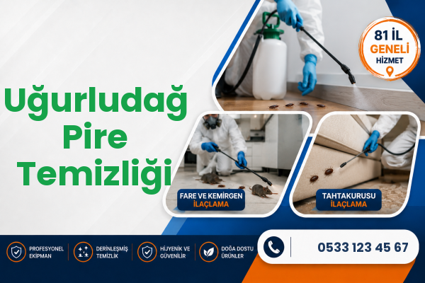 Uğurludağ Pire Temizliği